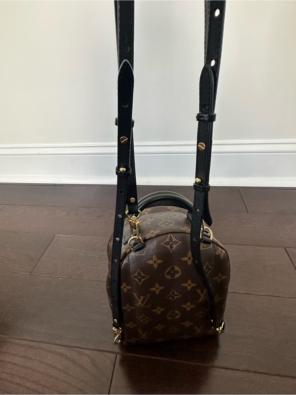 Louis Vuitton Palm Springs Mini Backpack - Picture 12 of 16